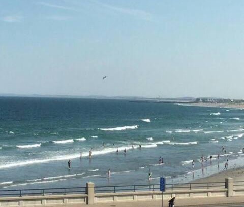 Hampton Apartment | Jonathan's Ocean Front Studio Suites Hampton Beach!