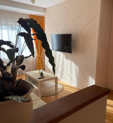 Tirgu Mures Apartment | Joy Apartament