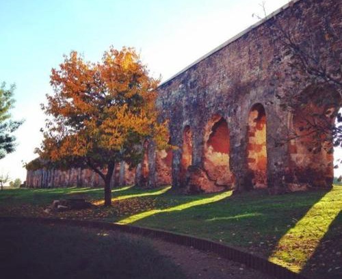 Tuscolano Apartment | JULIX - Roma Quadraro Apartment