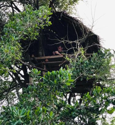 Anuradhapura Other | Jungle Tree Hut Anuradhapura Sri Lanka