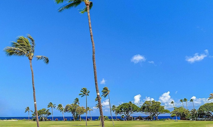 Kaanapali Apartment | Kāʻanapali Ocean View Condo with Beachfront Cabana for Guests