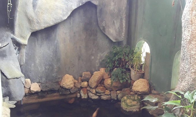 Kandy House | Ka Mario Guesthouse