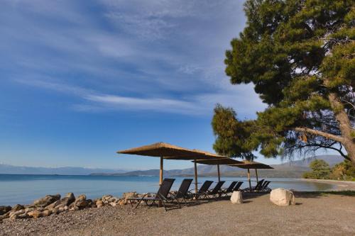 Itea Apartment | Kalafatis Garden House