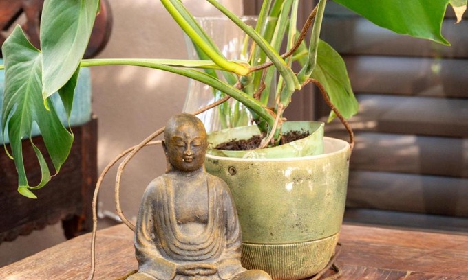 Barrydale House | Kamala Karoo Sanctuary