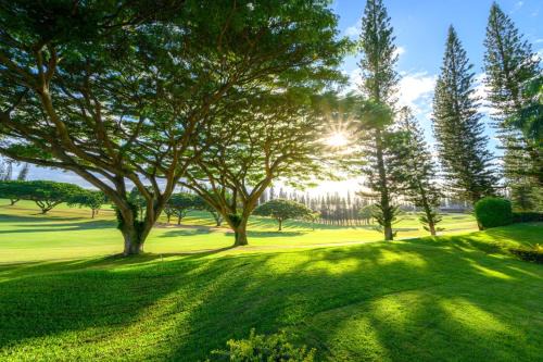 Kapalua Apartment | KBM Resorts 2 FREE CARS Kapalua Golf Villas Golf Course view 4-Bedroom Multi Unit Listing KGV-14P6P3
