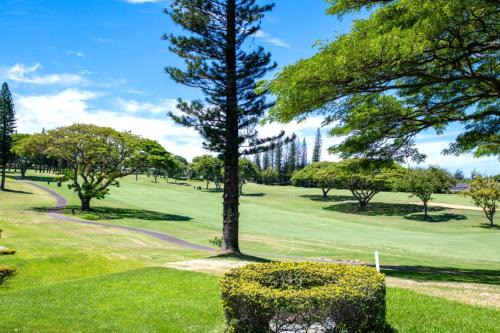 Kapalua Apartment | KBM Resorts Spacious 6-Bedroom Kapalua Golf Collection Multi Unit Listing Same Enclave Golf Course Views 3 Free Rental Cars KGV-14P3P6V3