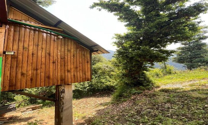 Banjar Bed & Breakfast | Khwaab the Cottages and Tree House