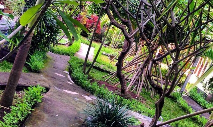 Purwakerti Cottage | Kirana Homestay - Breeze Bungalow