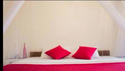 Kalpitiya Hotel | KiteClub kalpitiya