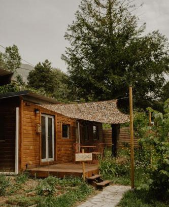 Gap House | Kiwai Lodge - Bungalow