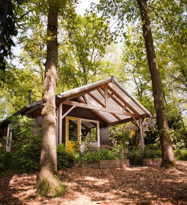 Horst House | Knus boshuisje onder de eiken