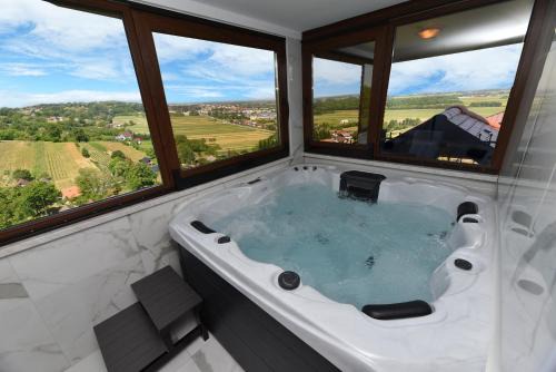 Ludbreg Villa | Kuća za odmor Orly, jacuzzi, sauna, prekrasan pogled