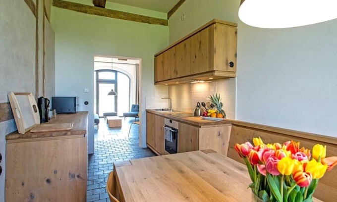 Altenkrempe Apartment | Kultur Gut Hasselburg | Violin | 4er FeWo