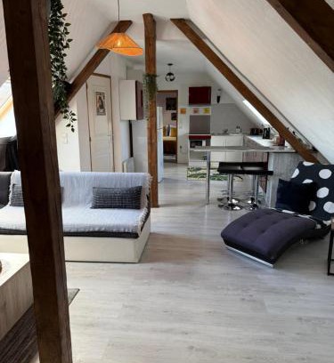 Entzheim Apartment | L'Alcôve Alsacienne chaleureux avec chauffаge