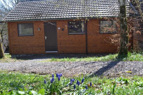 Somme-Leuze Ski Chalet | L'Ard'Heure D'Avance "chalet familial"