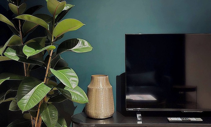 Saverne Apartment | L'Atelier de L'Émeraude/The Emerald Workshop