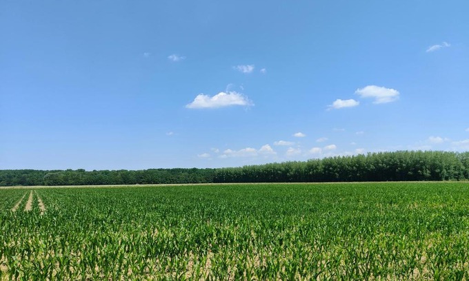 Haverskerque House | L'orée du bois