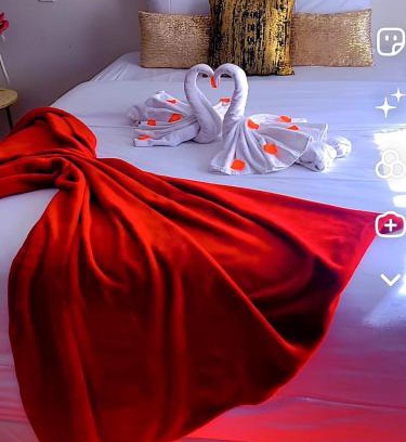 Hesingue Apartment | La Cachette Fleurie