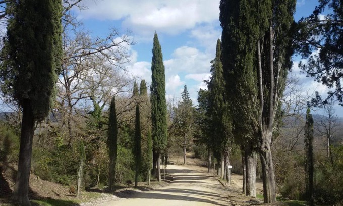 Vagliagli House | La Campesa