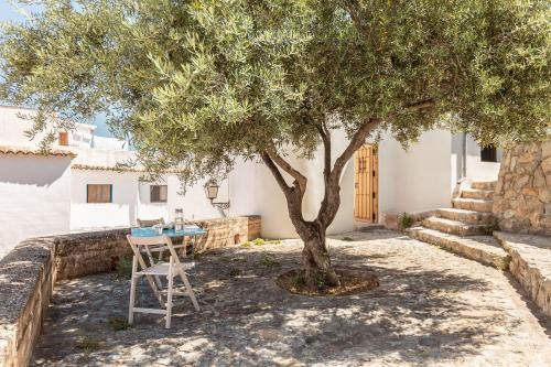 Sagunto House | La casa alta