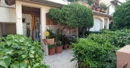 Torre del Lago Puccini House | La casa di nonna Lina al mare - senza barriere