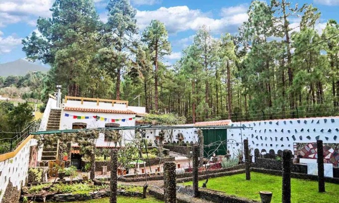 Icod de los Vinos House | La Casa Encantada del Bosque