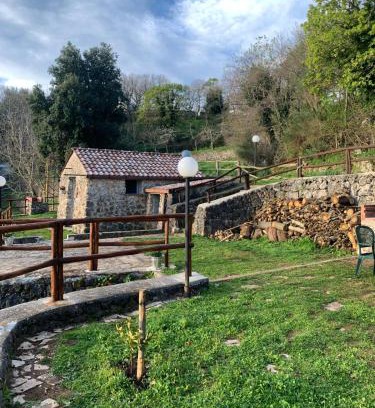 Mattinata House | La casa nel bosco