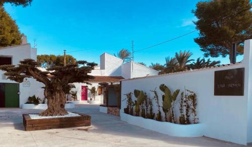 Santomera House | La Casa Rosa de Finca Doña Carmen
