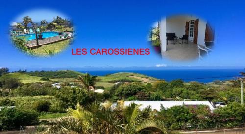 Petite-ÃŽle House | La case vétyver