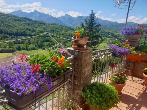 Gassano House | La Codirossa - magnificent view