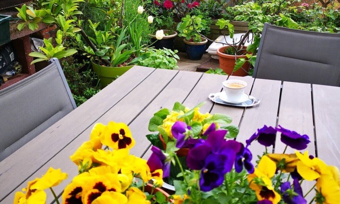 Ghent Bed & Breakfast | La Ducale 'B&B'