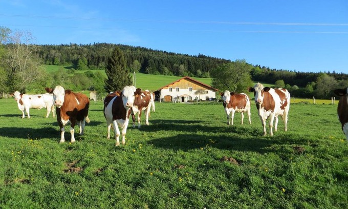 Pierrefontaine-les-Varans Bed & Breakfast | La ferme du bonheur