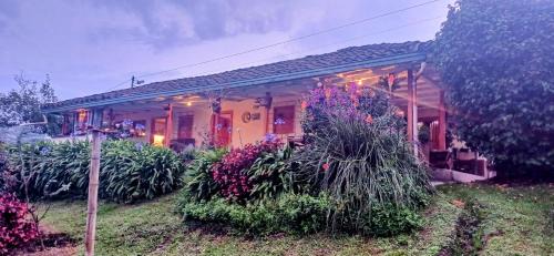 La Union de Sucre House | La jinquita