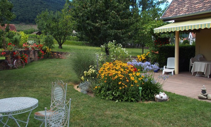 Chatenois House | La maison au calme - 2 guest rooms - Centre Alsace