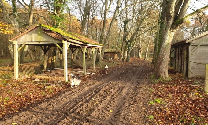 Ury Bed & Breakfast | La Maison Babjac, just like home!