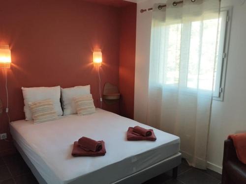 Albi House | La Maison Vanista