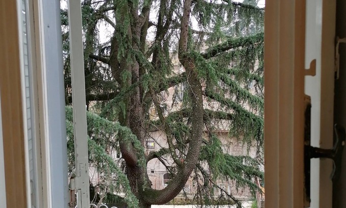 Ronciglione Apartment | La Maisonette del Borgo