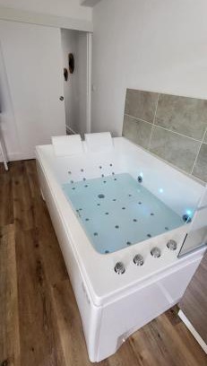 Fontenay-le-Comte Apartment | La Source Spa Balnéo