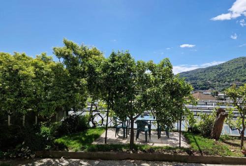 Pian Grande Apartment | La Strelizia