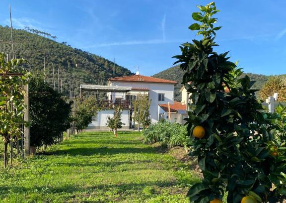 San Giuliano Terme Apartment | La tenuta di Eva