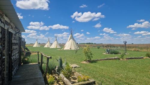 Saint-Jean-de-Sauves Other | La vallée de l'Ouest