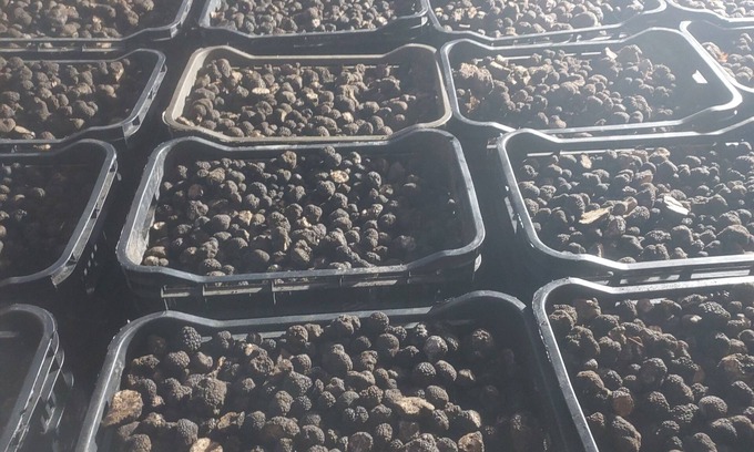 Corfinio Villa | 𝓛𝓪 𝓥𝓲𝓵𝓵𝓪 𝓭𝓮𝓲 𝓣𝓪𝓻𝓽𝓾𝓯𝓲