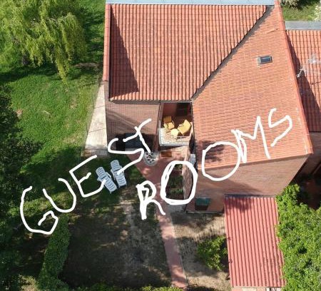 Migliarino House | La villetta d' angolo