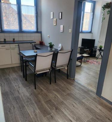 Besancon Old Town Apartment | Laelia place Rivotte