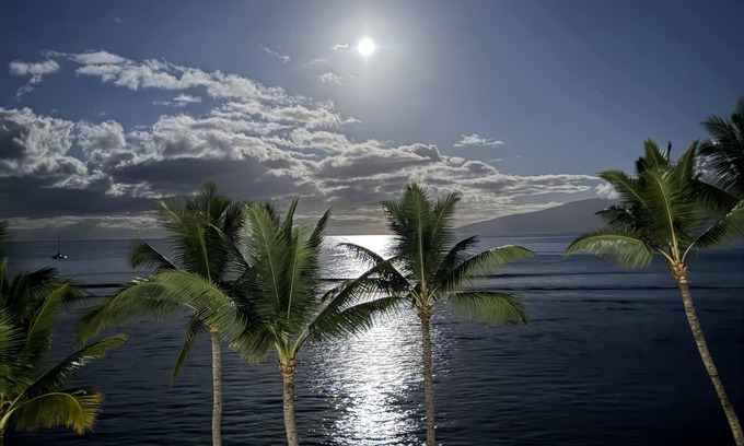 Historic Lahaina Front Street Apartment | Lahaina Shores 533: Oceanfront Bliss & Whale Watching Views