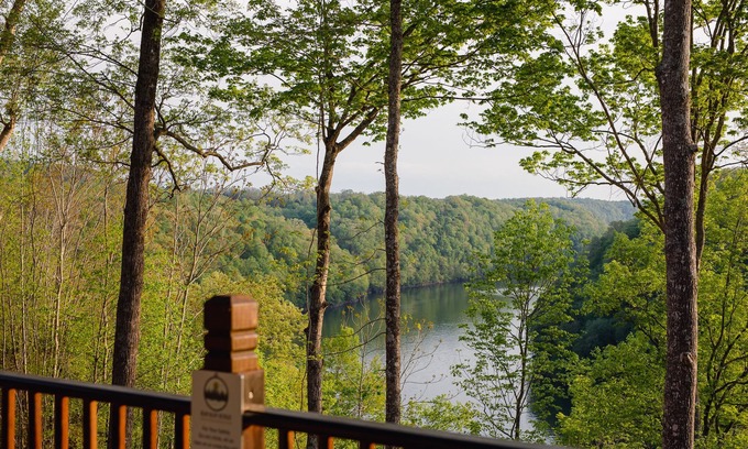 White County Cabin | Lake View Nature Cabin at Bear Bluff Retreat