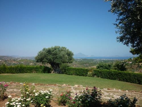 Markopoulon Oropou House | LandEscape Villa facing the Evian Gulf, Attica