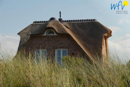 Juist House | Landhaus Ostdüne Ferienwohnung Dünenmeer