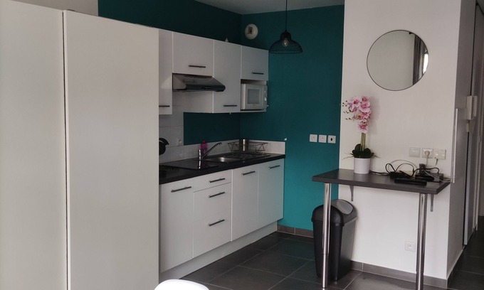 Noisy-le-Grand Apartment | Large, charming and quiet studio