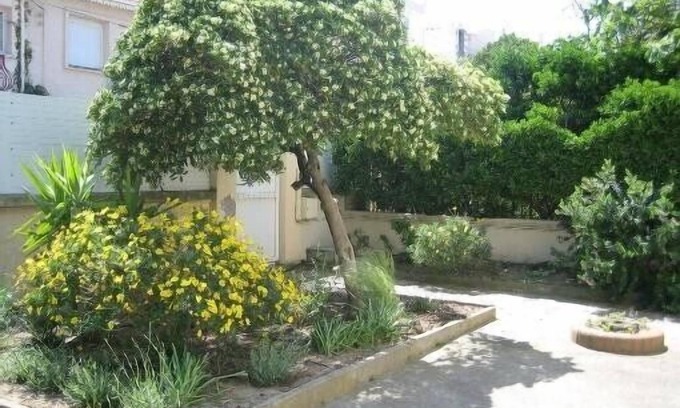 Mediterranee Villa | Large villa with extensive garden 50 metres from the beach